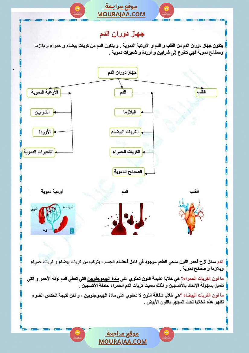 سنة سادسة ايقاظ علمي 1