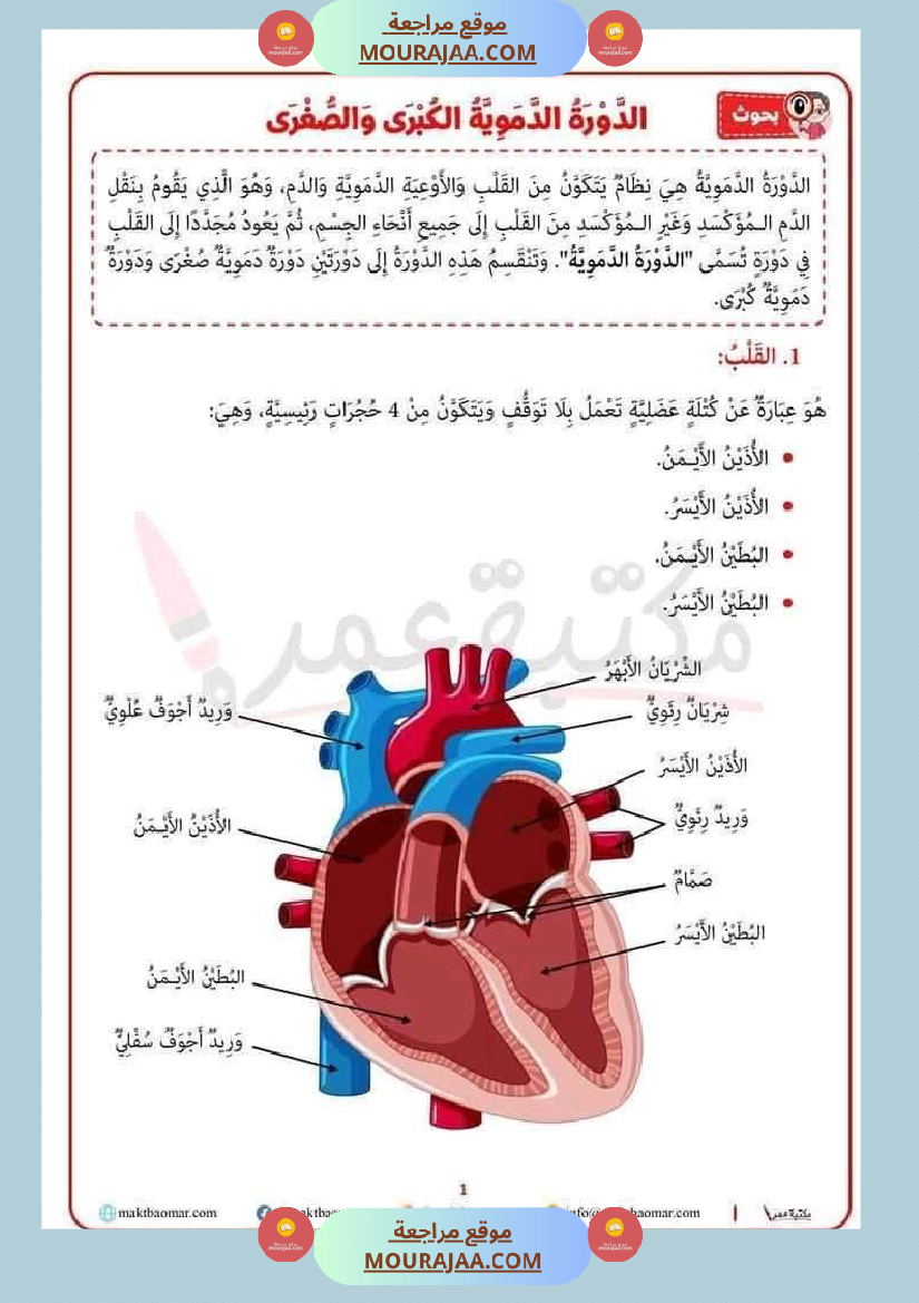 سنة سادسة ايقاظ علمي ثلاثي 2
