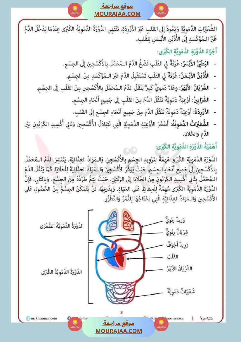 سنة سادسة ايقاظ علمي ثلاثي 2