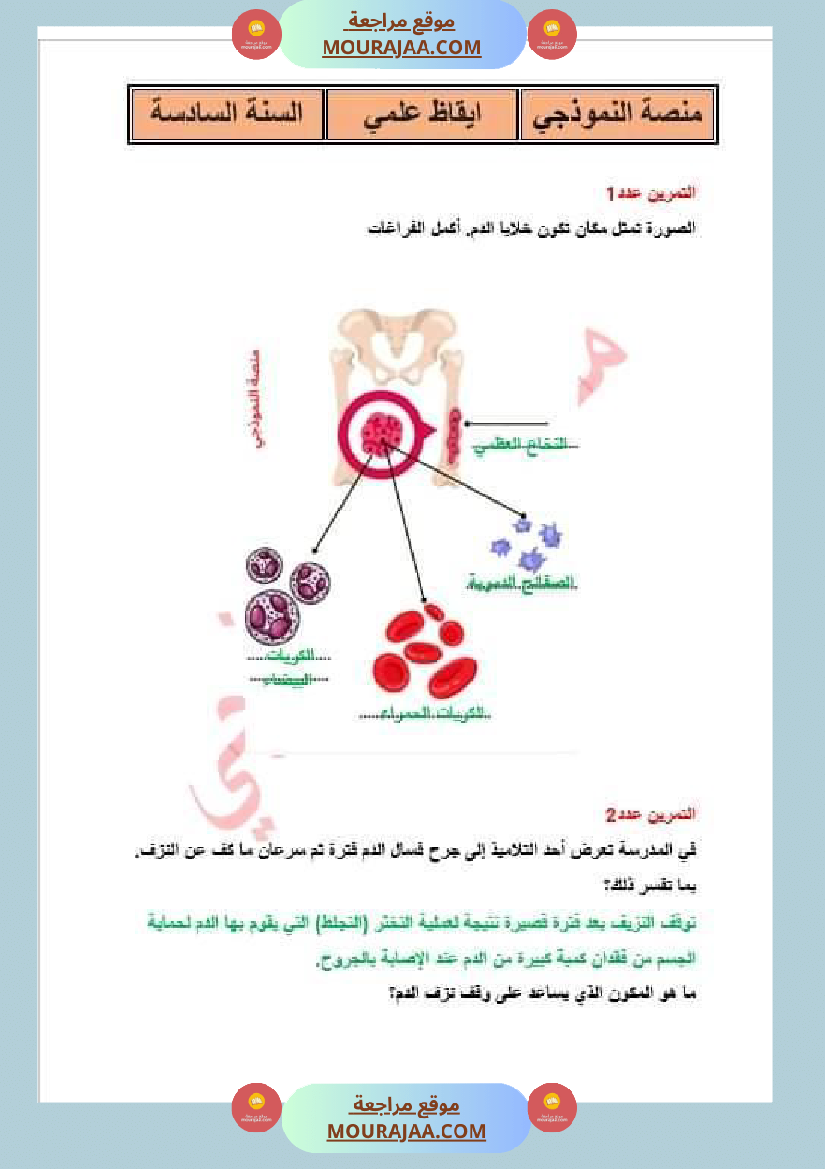 سنة سادسة ايقاظ علمي ثلاثي 2