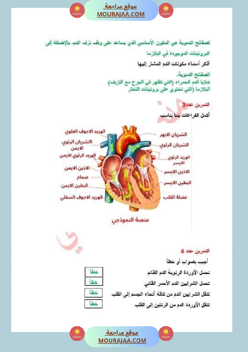 سنة سادسة ايقاظ علمي ثلاثي 2