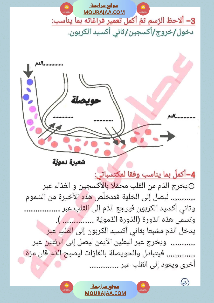 سنة سادسة ايقاظ علمي ثلاثي 2 جهاز دوران الدم