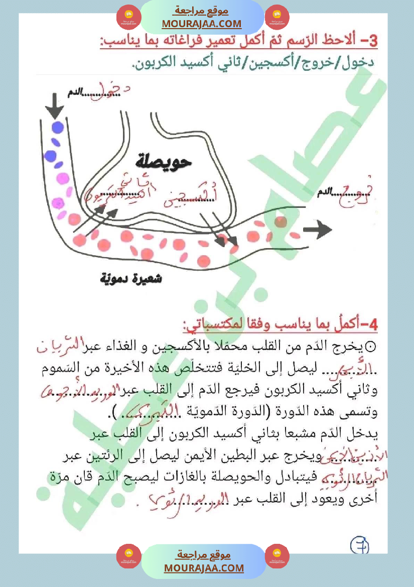 سنة سادسة ايقاظ علمي ثلاثي 2 جهاز دوران الدم