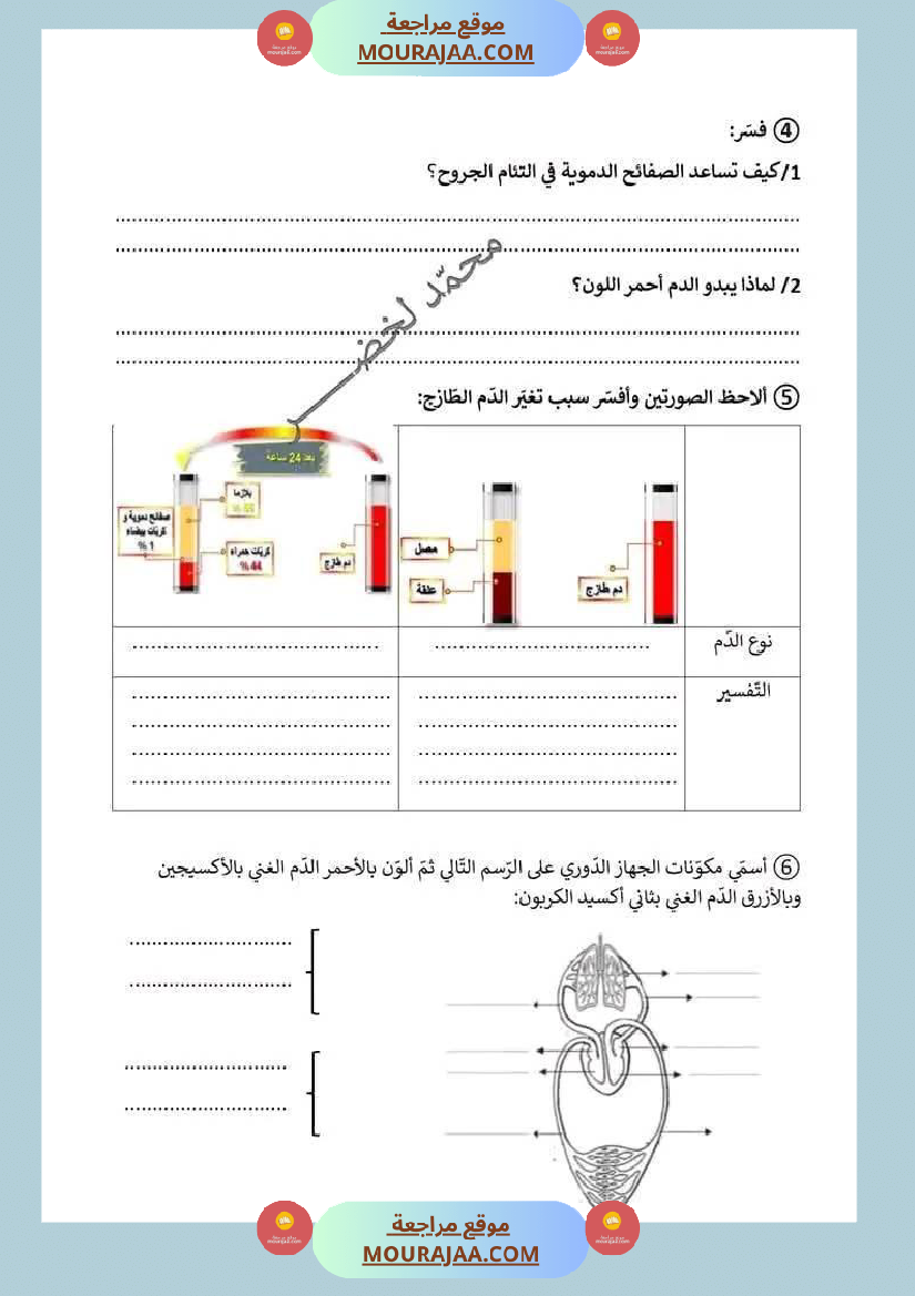سنة سادسة ايقاظ علمي ثلاثي 2 مكونات الدم و وظيفة