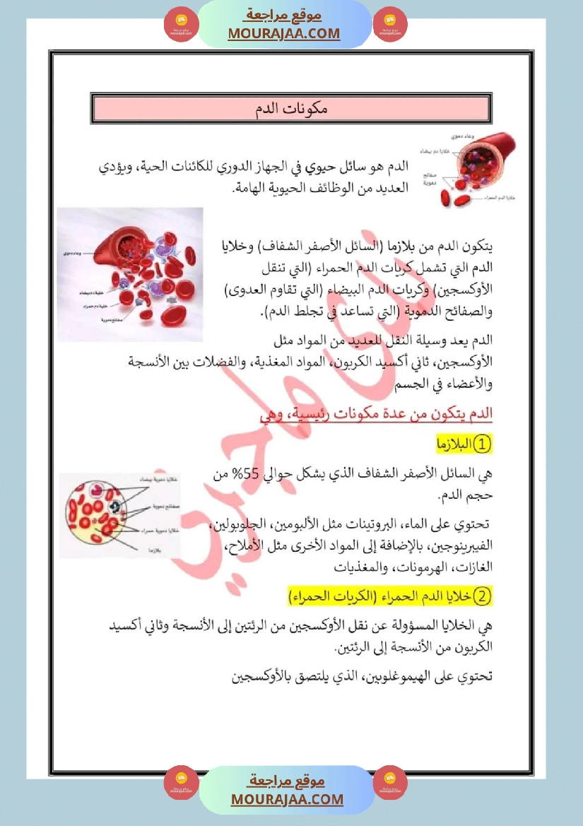 سنة سادسة تلخيص في مادة الايقاظ العلمي ثلاثي 2 صفحة 4