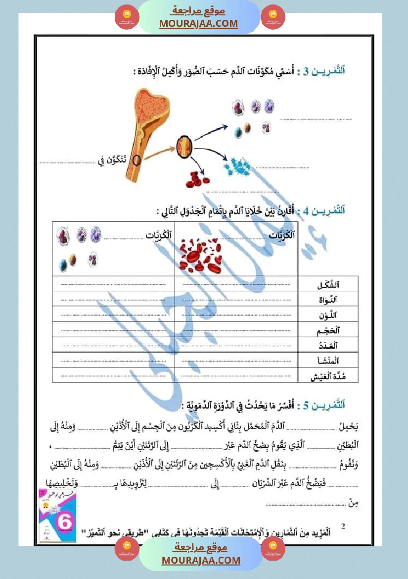 مراجعة الإيقاظ العلمي لتلاميذ سنة السادسة صفحة 2