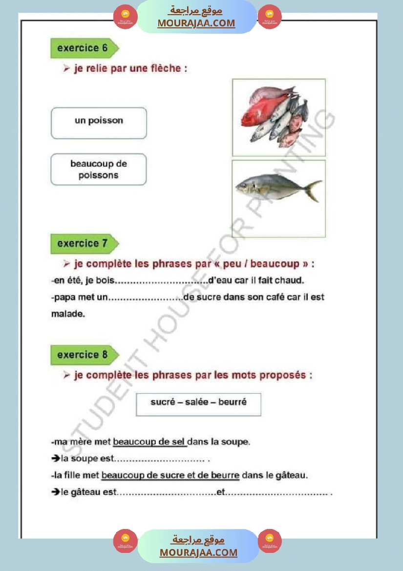 امتحان في سنة ثالثة ابتدائي فرنسية صفحة 10