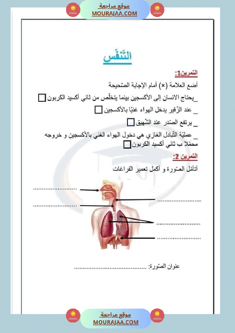 ايقاظ علمي أبطال السنة الثالثة