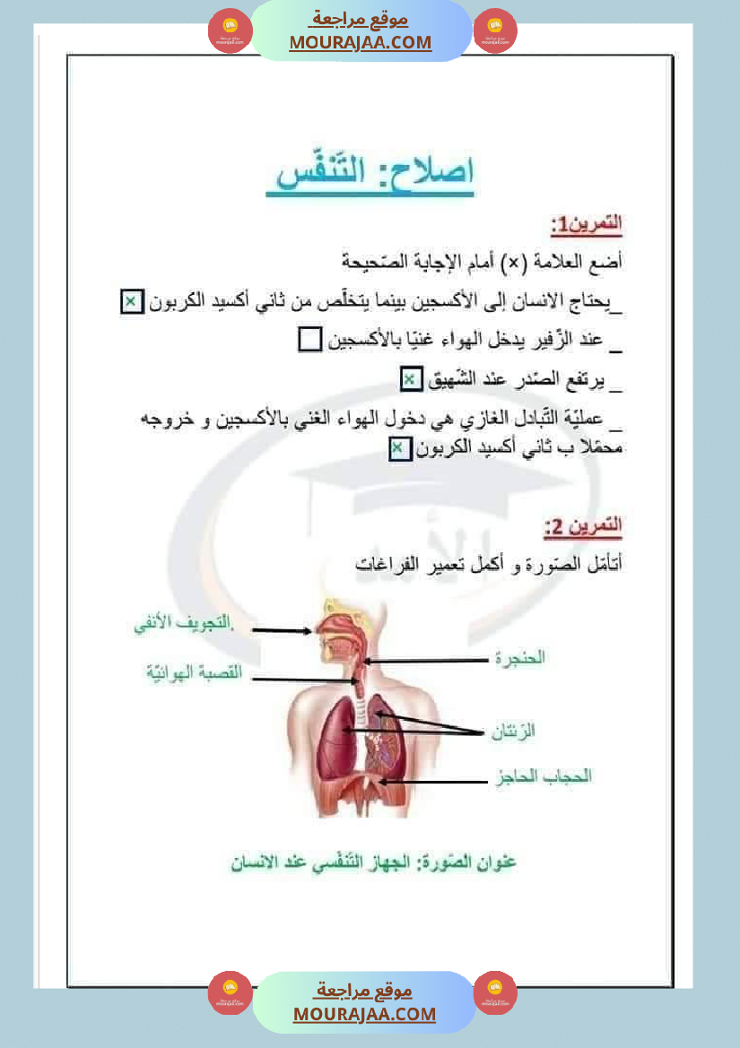 سنة ثالثة إيقاظ علمي مع الإصلاح