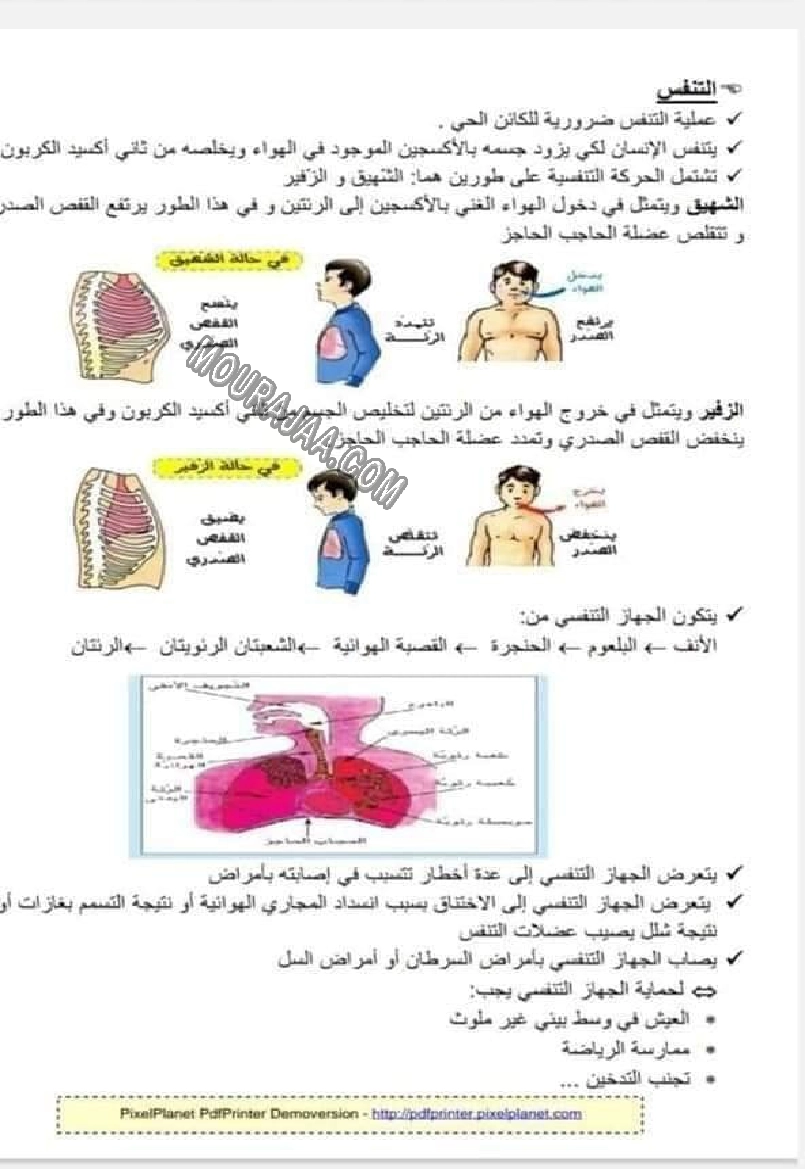 التنفس 2022