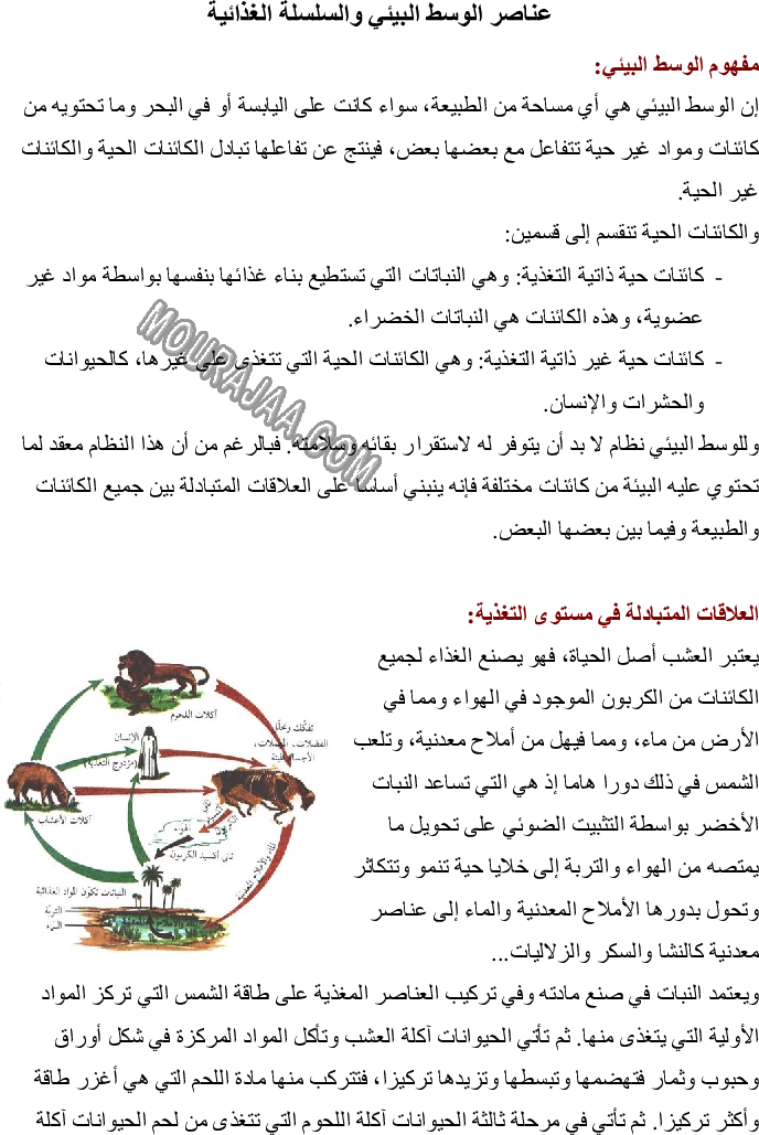 عناصر الوسط البيئي والسلسلة الغذائية