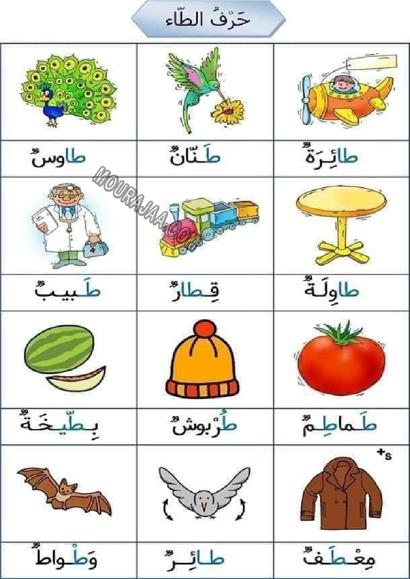 تحميل كلمات بحرف الطاء - سنة أولى ابتدائي PDF | موقع مراجعة التعليمي