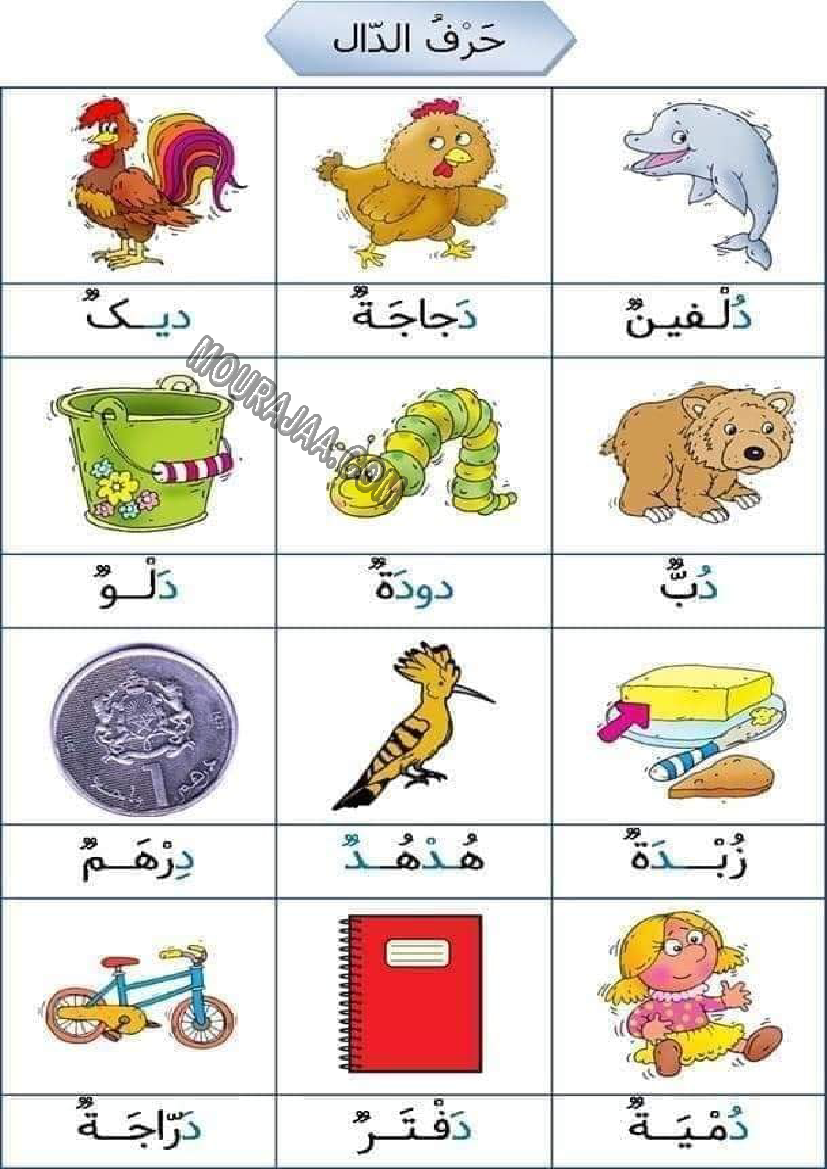 كلمات بحرف الدال: دليل شامل لتوسيع المفردات العربية