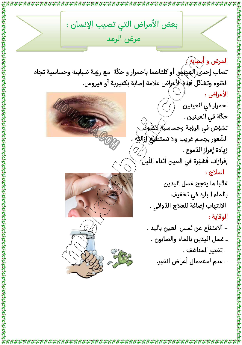تحميل مرض الرمد - سنة رابعة ابتدائي PDF | موقع مراجعة التعليمي