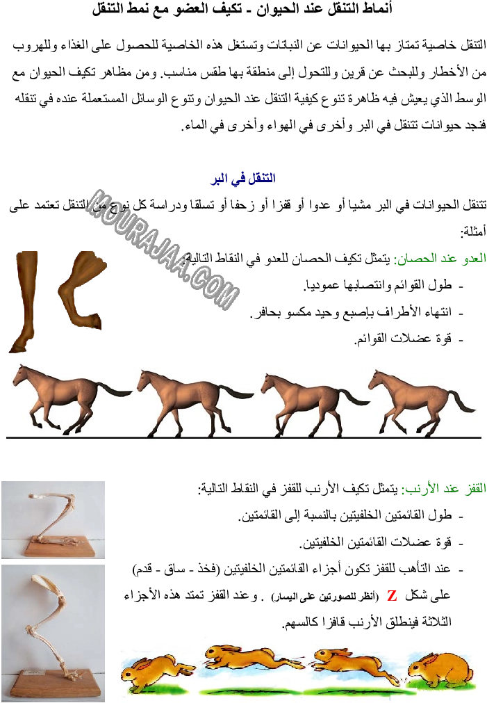 أنماط التنقل عند الحيوان - تكيف العضو مع نمط التنقل