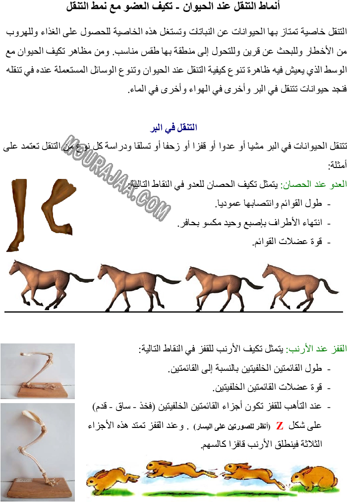 أنماط التنقل عند الحيوان - تكيف العضو مع نمط التنقل