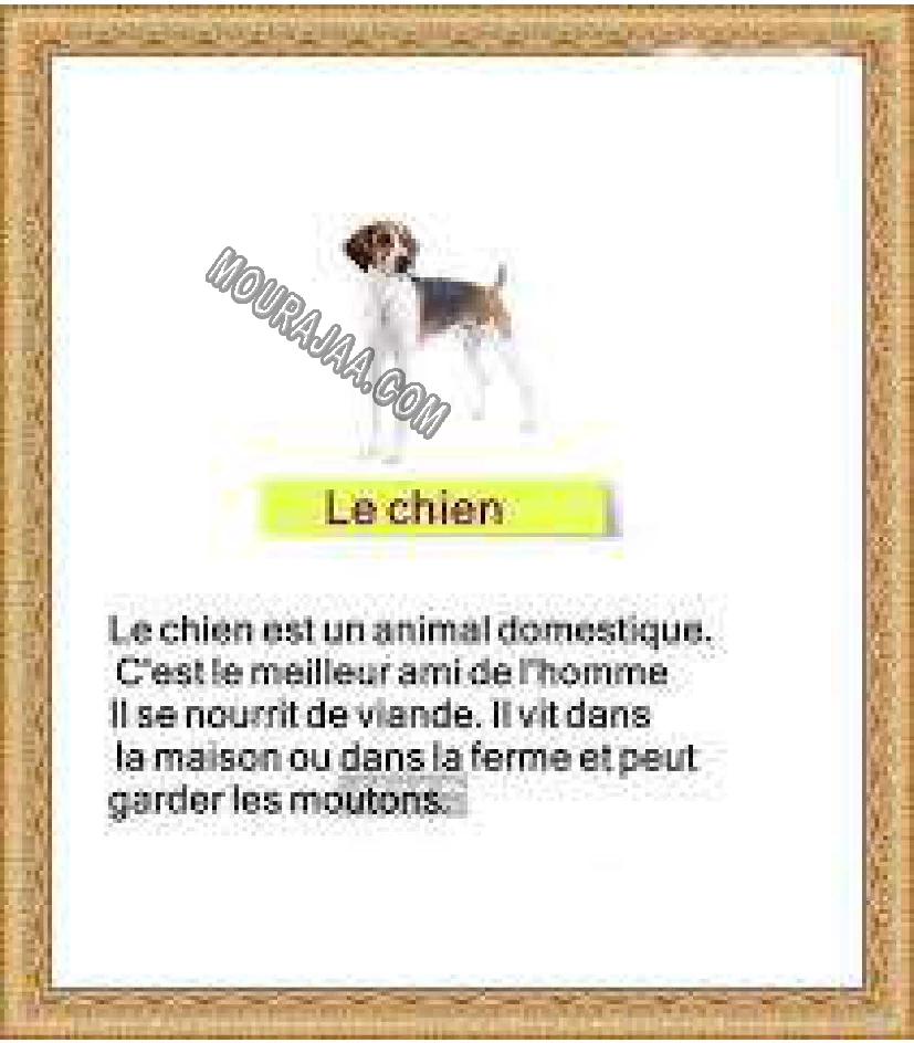 le chien