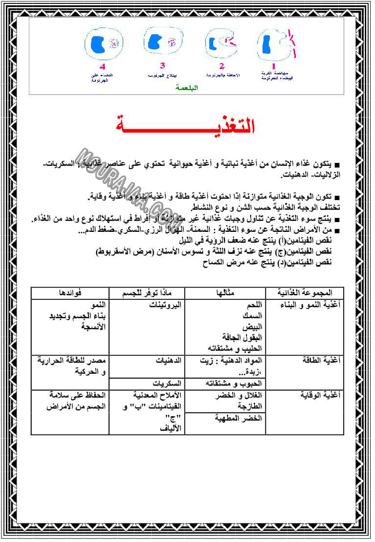 تحميل ملخصات-دروس-الايقاظ-العلمي-س6 - سنة سادسة ابتدائي PDF | موقع ...