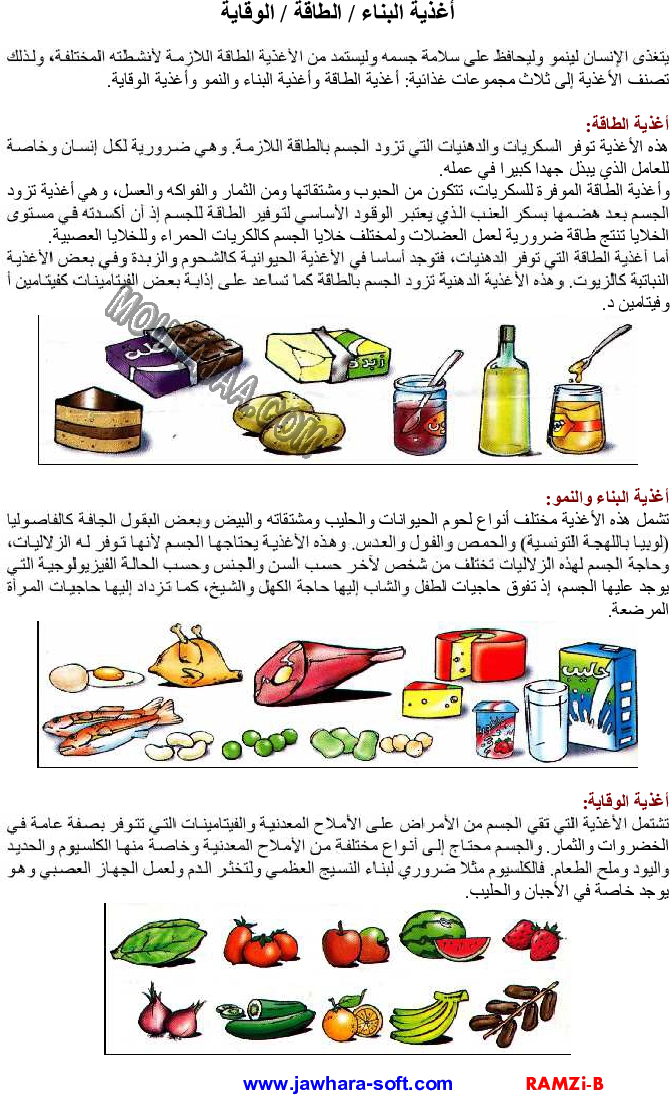 أغذية البناء - الطاقة - الوقاية