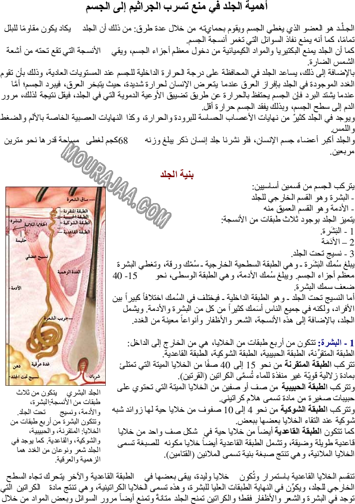 أهمية الجلد في منع تسرب الجراثيم إلى الجسم