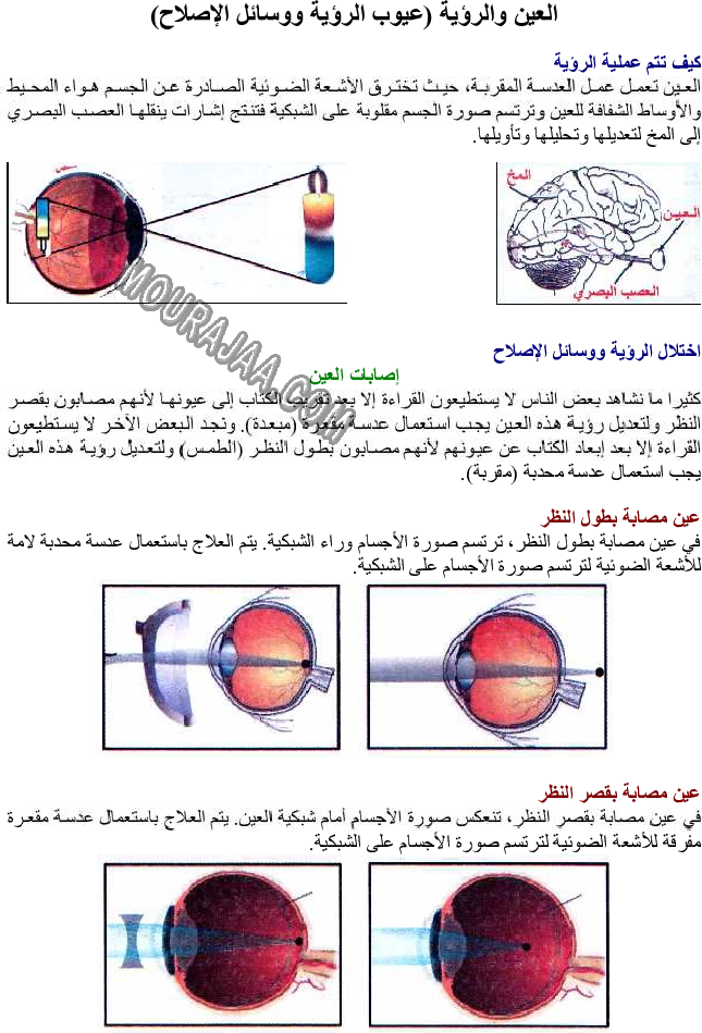 العين والرؤية