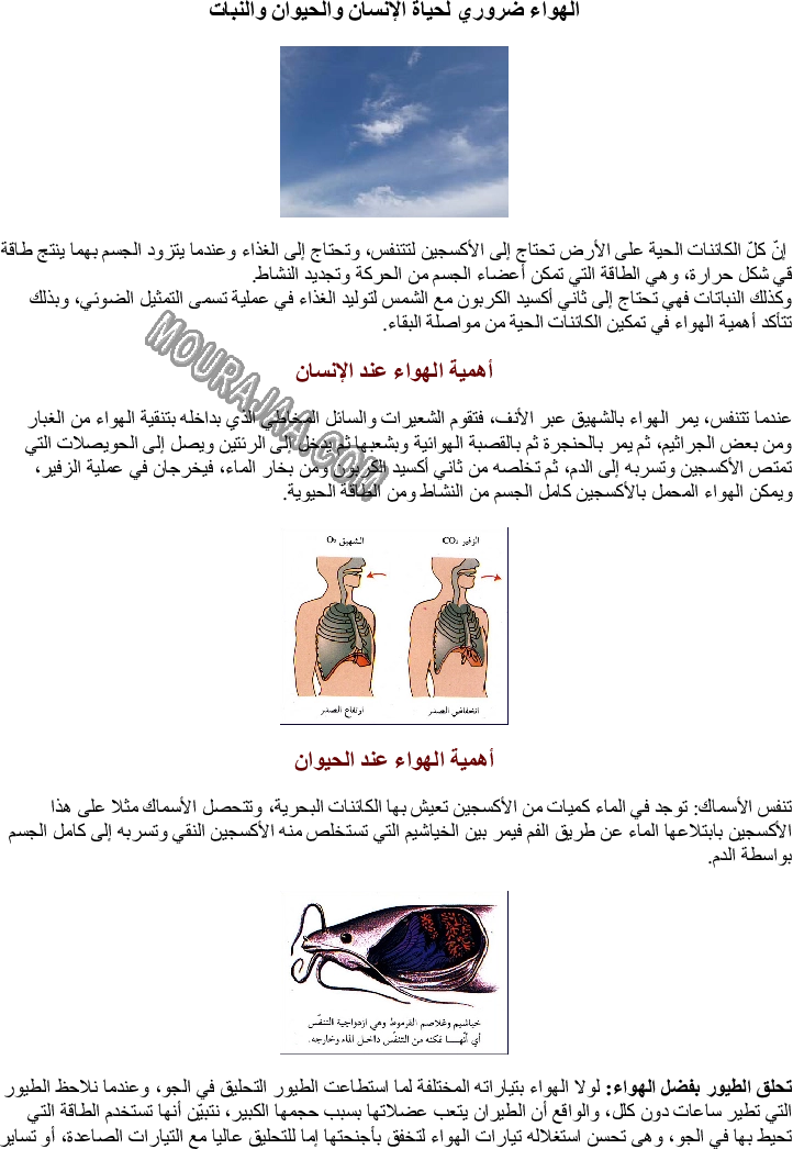 الهواء ضروري لحياة الإنسان والحيوان والنبات