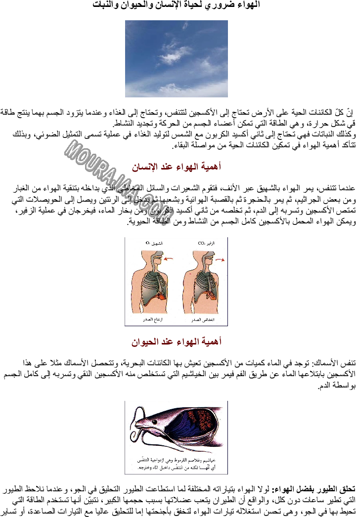الهواء ضروري لحياة الإنسان والحيوان والنبات