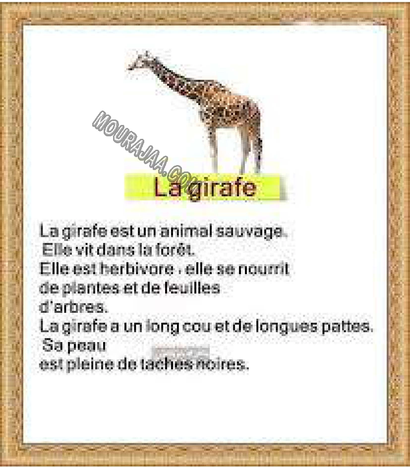 la girafe