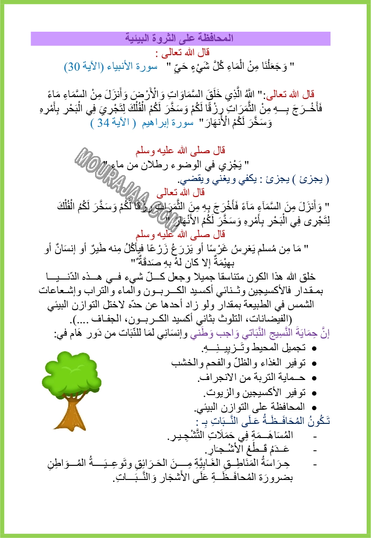 المحافظة-على-البيئة