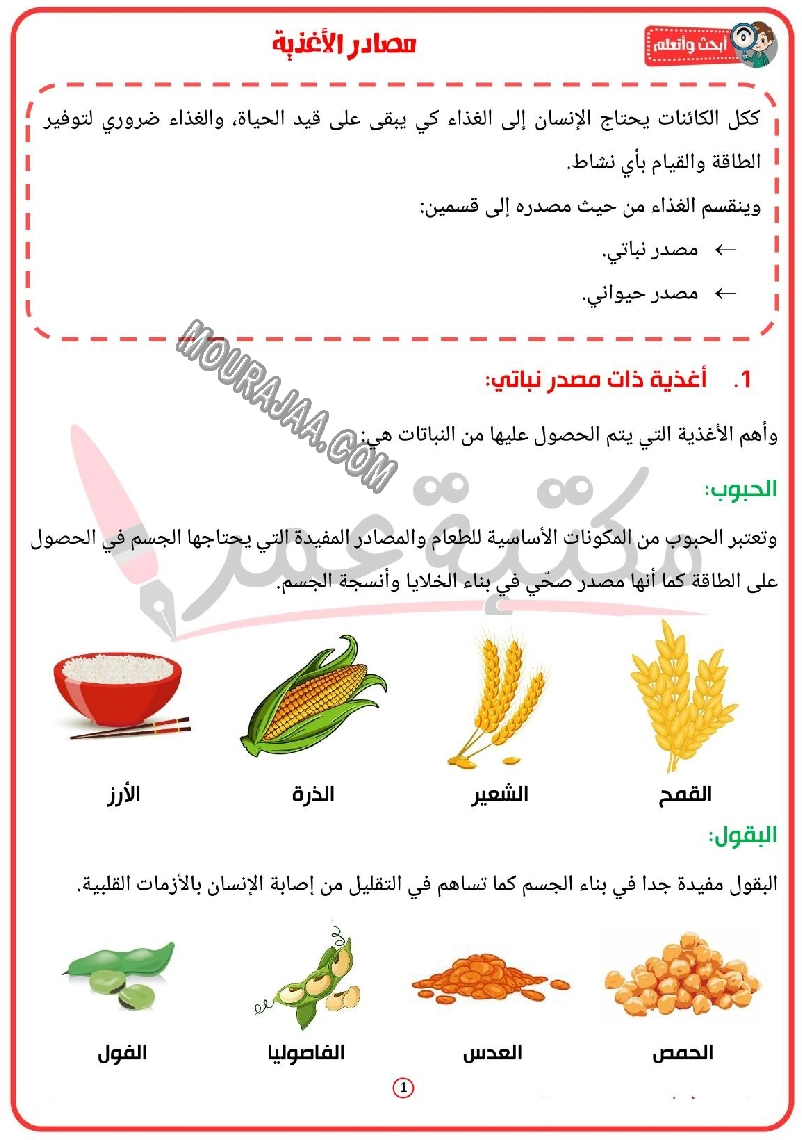 مصادر الاغذية 2022