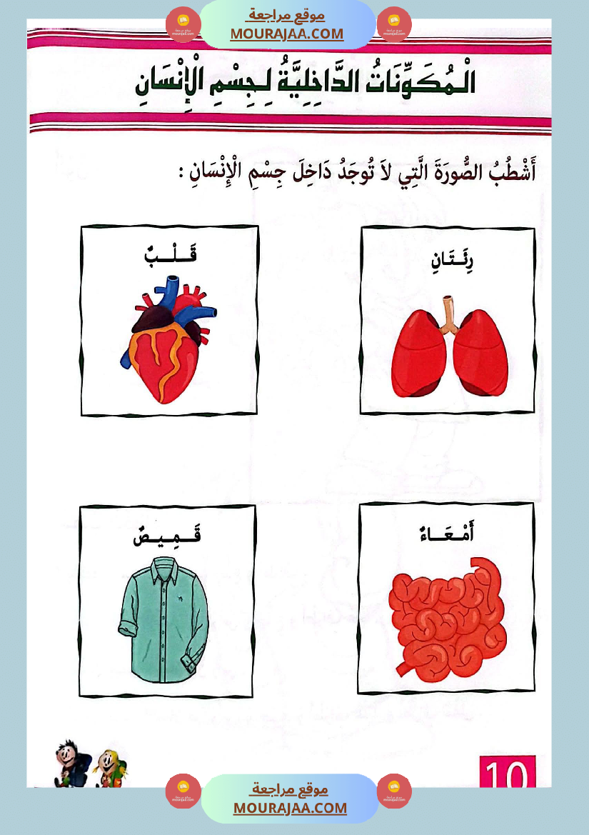 التدرج في الإيقاظ العلمي لاقسام التحضيري