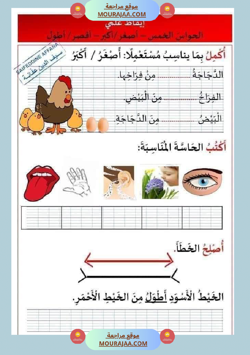 كراس العطلة لتلاميذ السنة الأولى ابتدائي