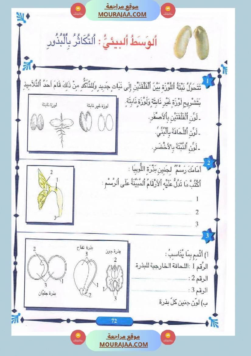 المنير في الايقاظ العلمي سنة الخامسة